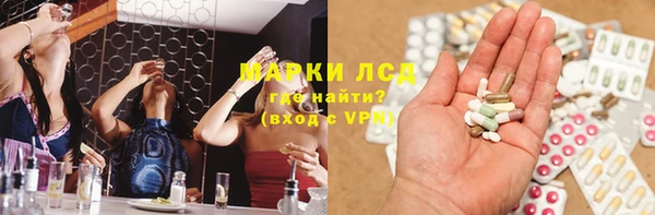 индика Алексин