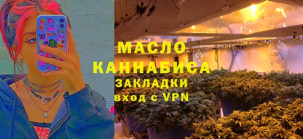 индика Алексин