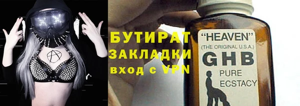 индика Алексин