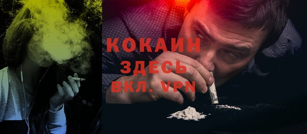 индика Алексин