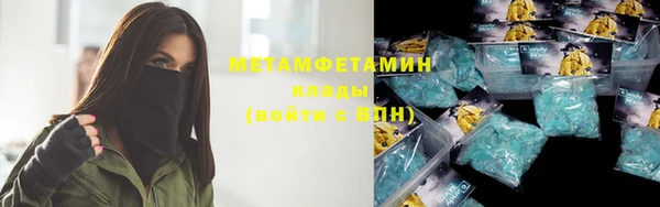 индика Алексин
