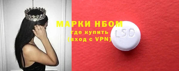 индика Алексин