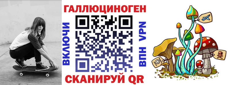 mega зеркало Кирс Галлюциногенные грибы мицелий